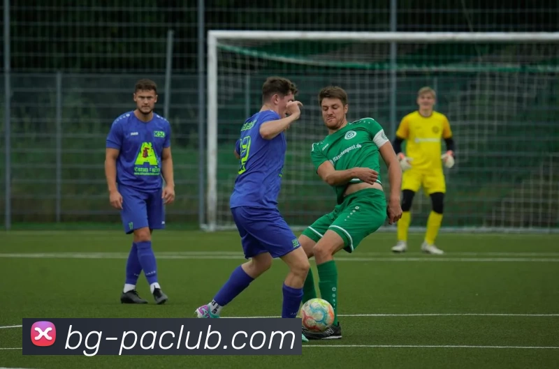 PA集团体育品牌故事